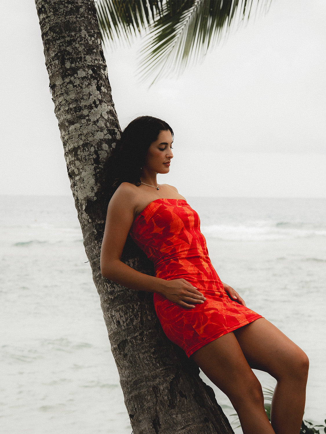 Mina Dress Mini